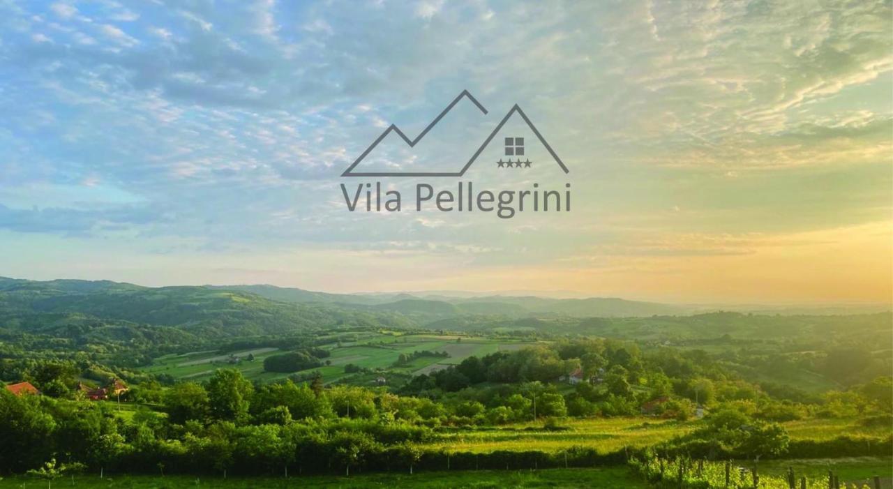 Vila Pellegrini Aranđelovac Extérieur photo