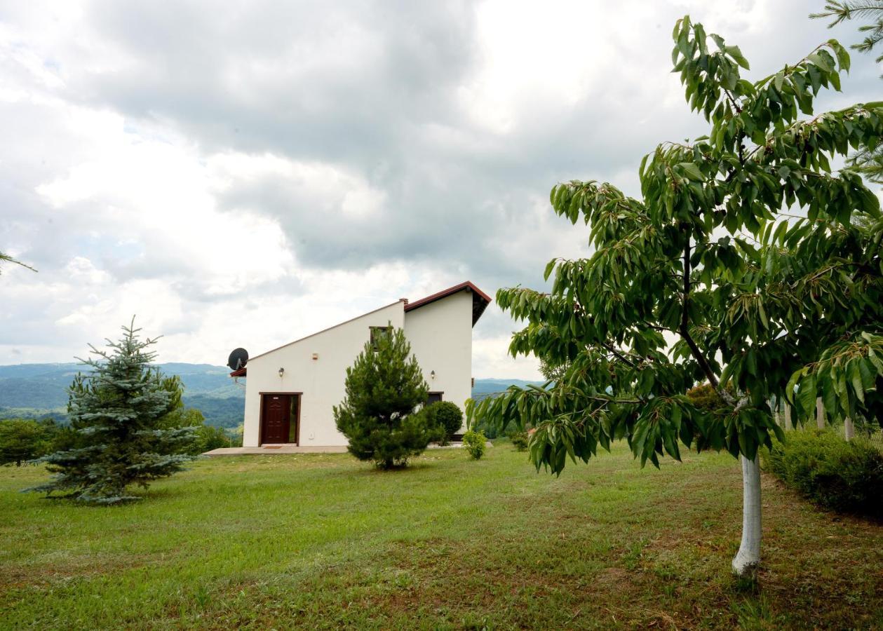 Vila Pellegrini Aranđelovac Extérieur photo